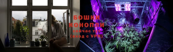 шишки Семёнов