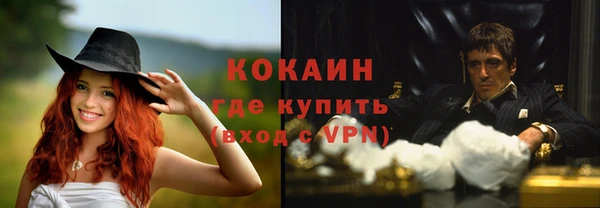 прущие грибы Семикаракорск