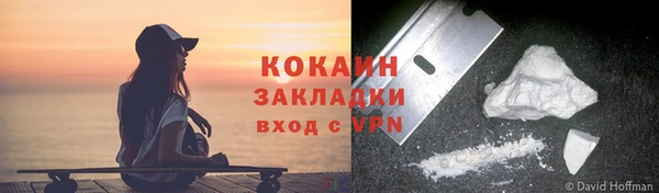 шишки Семёнов