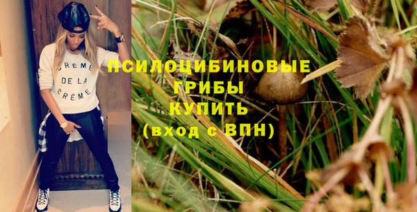 прущие грибы Семикаракорск