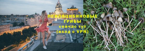 шишки Алексин