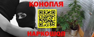 стаф Абакан