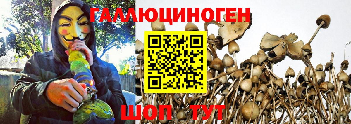 Псилоцибиновые грибы прущие грибы Глазов