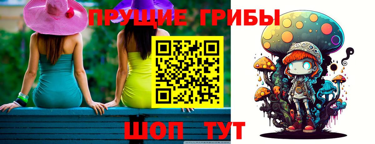 где купить наркоту  Глазов  Псилоцибиновые грибы прущие грибы 