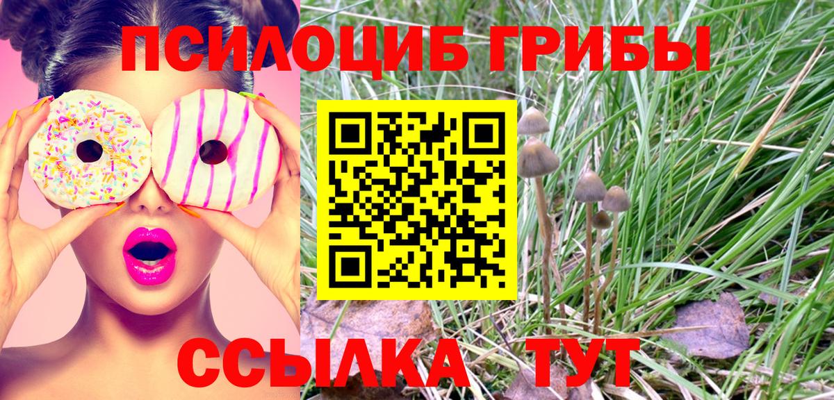 магазин продажи   Вход с VPN  Глазов  Псилоцибиновые грибы Psilocybe  Псилоцибиновые грибы GOLDEN TEACHER 
